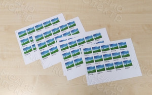 Стикеры на упаковки товаров бренда «АнтВилл» — фото 3