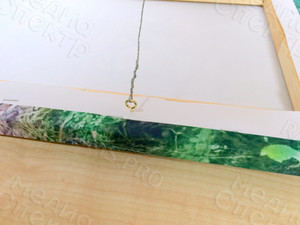 Фотокартина на холсте 30х50см «Собака и три гриба» — фото 7