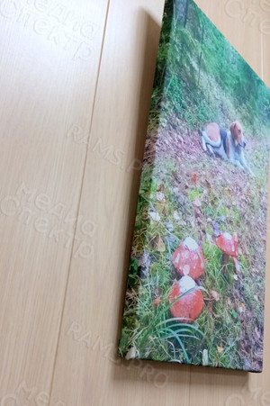 Фотокартина на холсте 30х50см «Собака и три гриба» — фото 4