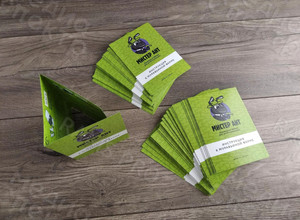 Буклет А6-инструкция к муравьиной ферме «Мистер Ант» 2020 год — фото 2