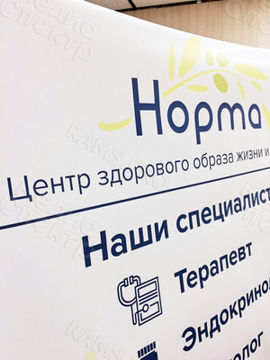 Постер 77х149см для медицинского центра ЗОЖ «Норма» — фото 4