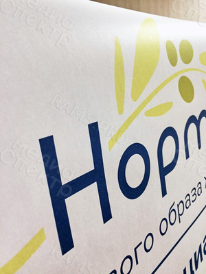 Постер 77х149см для медицинского центра ЗОЖ «Норма» — фото 6