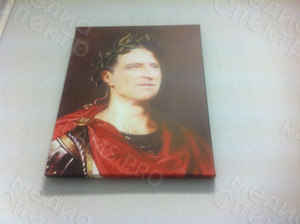 Фотокартина-монтаж на холсте 40х50см «Цезарь» — фото 2