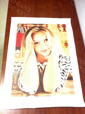 Фотокартина на холсте 40х60см «Красивая девушка» — фото 2