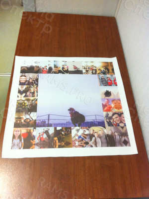 Фотокартина-коллаж на холсте 50х50см «Друзья на век» — фото 1