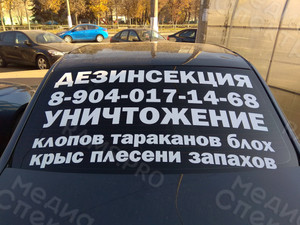 Наклейка на автостекло «Дезинсекция» — фото 1