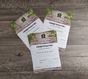 Свидетельство А4 «Банная школа в Дубровках» — фото 4