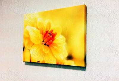 Фотокартины на холстах 40х30см «Цветы желтые» — фото