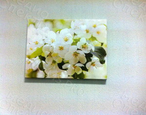 Фотокартины на холстах 40х30см «Цветы белые» — фото 2