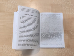 Автобиографический сборник-дневник «Из прошлого тысячелетия в нынешний век» — фото 10