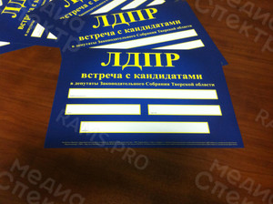 Афиша А4 на самоклейке «ЛДПР» — фото 1
