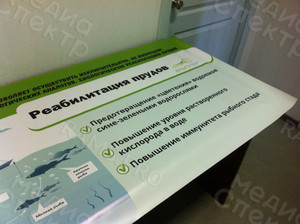 Баннер «Альготек: Реабилитация прудов» — фото 2