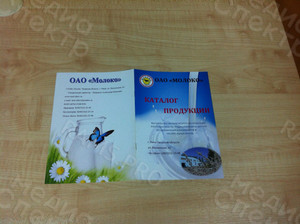 Каталог продукции формата А5 «ОАО Молоко» 2015 г. — фото 2