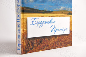 Книга А5 «Березянские просторы» авторский сборник прозы и стихов — фото 5