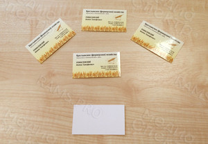 Визитки «Крестьянское (фермерское) хозяйство» — фото 6