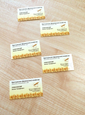 Визитки «Крестьянское (фермерское) хозяйство» — фото 2