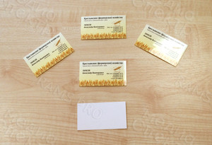 Визитки «Крестьянское (фермерское) хозяйство» — фото 4