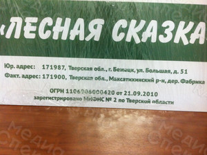 Табличка-вывеска 60х40см «Лесная сказка» — фото 3