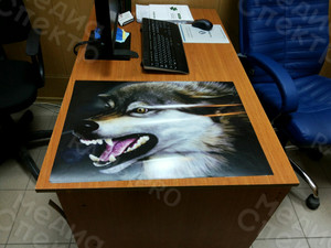 Наклейки на кузов авто «Волк» — фото 1