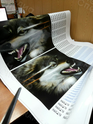 Наклейки на кузов авто «Волк» — фото 2